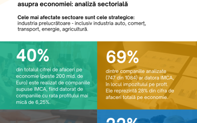 Impactul Impozitului Minim pe Cifra de Afaceri asupra economiei: analiză sectorială