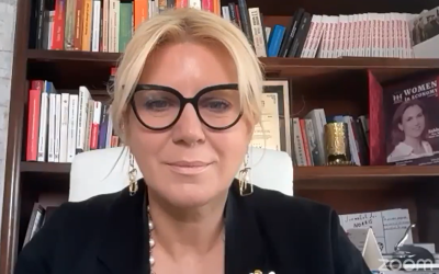 Cristina Chiriac (CONAF): Până la finalul anului o să vedeți un val de insolvențe în rândul microîntreprinderilor din cauza taxării ridicate