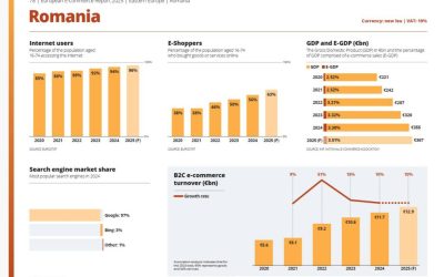 România poate urca în Top 10 european în privința comerțului electronic